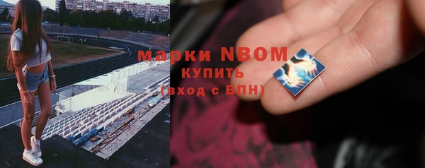 ПСИЛОЦИБИНОВЫЕ ГРИБЫ Алзамай