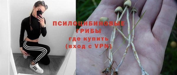 ПСИЛОЦИБИНОВЫЕ ГРИБЫ Алзамай