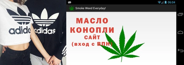 прущий лед Абаза