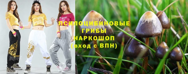 винт Абинск