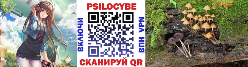 Галлюциногенные грибы Psilocybine cubensis  Пошехонье 